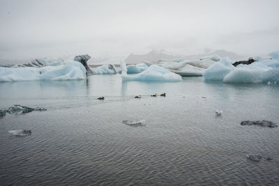 Jokulsarlon glacier lagoon at dusk