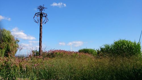 Low angle view of trees on field against blue sky