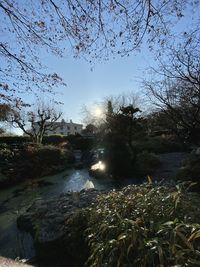 Scenic view of river stream in forest against sky