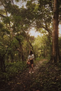 Full length of young woman walking amidst trees in forest