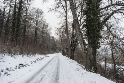Snow covered road amidst trees during winter