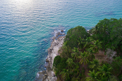 High angle view of sea shore