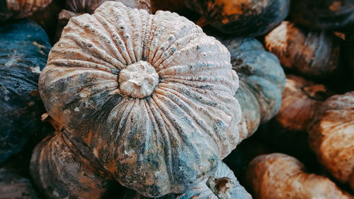 Full frame shot of pumpkins for sale in market