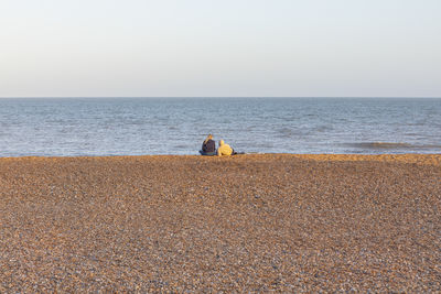 Rear view of men sitting at beach against clear sky