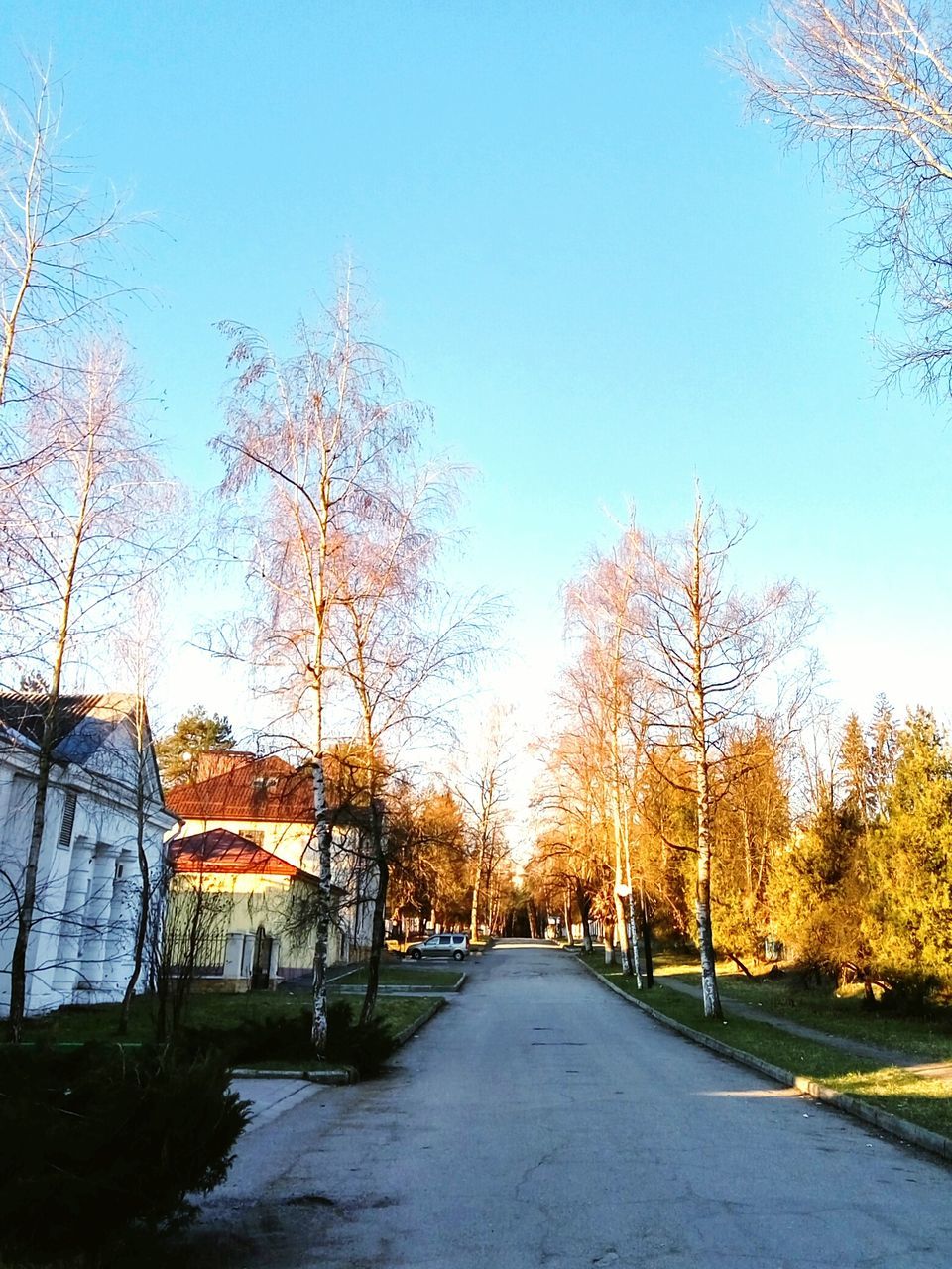 the way forward, built structure, tree, architecture, clear sky, building exterior, diminishing perspective, road, transportation, bare tree, street, vanishing point, empty, long, house, sky, empty road, blue, outdoors, no people