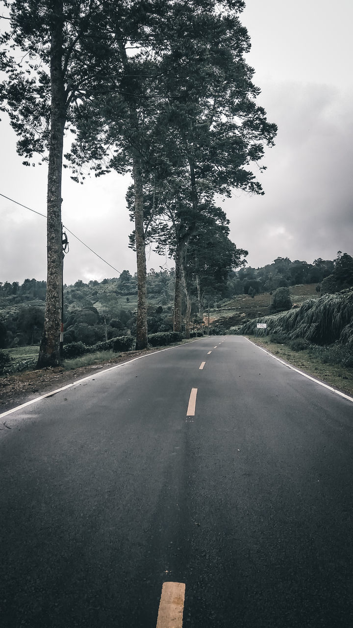 EMPTY ROAD AMIDST TREES AGAINST SKY