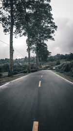 Empty road along trees