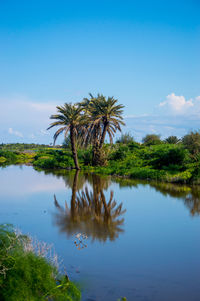 Scenic view of lake against blue sky