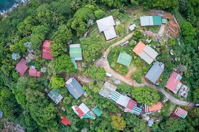 High angle view of potted plants on field