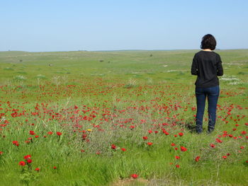 Rear view of woman standing on field against clear sky