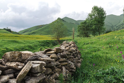 Scenic view of land against sky