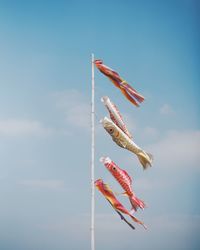 Low angle view of fish hanging against skyline 