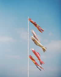 Low angle view of fish hanging against sky