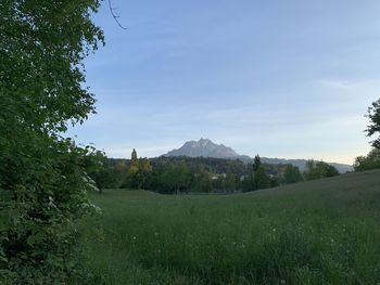 Scenic view of landscape against sky