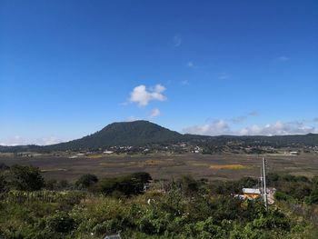 Scenic view of field against blue sky