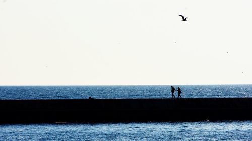 Silhouette birds flying over sea against sky