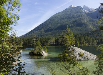 Scenic view of river in forest against sky