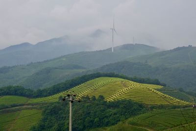 Scenic view of agricultural field against mountain