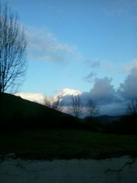 Bare trees on grassy field against cloudy sky