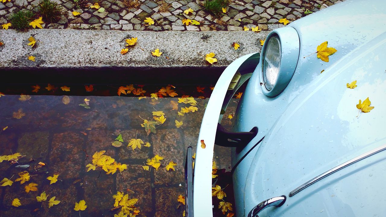 metal, mode of transportation, transportation, day, high angle view, car, no people, motor vehicle, land vehicle, outdoors, plant part, leaf, nature, autumn, reflection, change, close-up, street, headlight, city, leaves, silver colored, steel