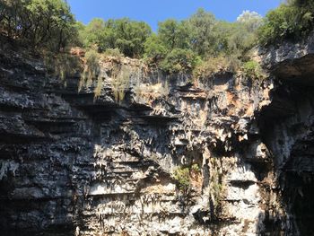 View of trees on cliff