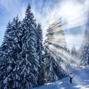 Person skiing by snow covered trees against sky