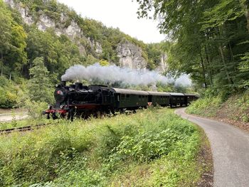 Train on railroad track by trees