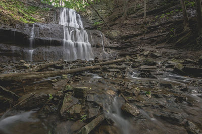 Scenic view of waterfall in forest