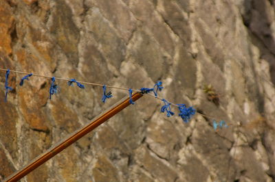 High angle view of ropes on rock