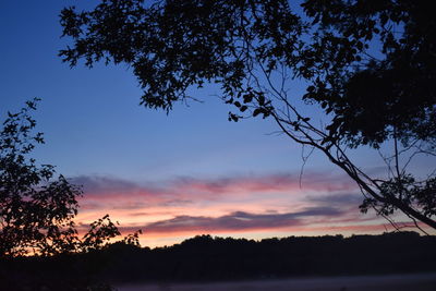 Low angle view of silhouette trees against sky at sunset