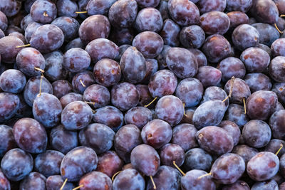 Ripe plums in market for sale