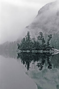 Reflection of trees in lake against sky