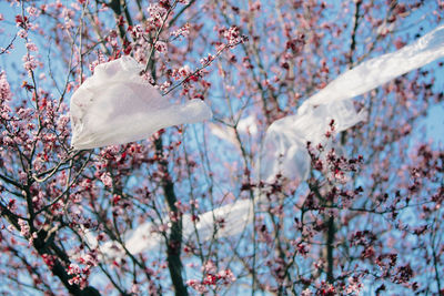 From below transparent plastic material waving on wind while hanging on branches against cloudless blue sky polluting the environment