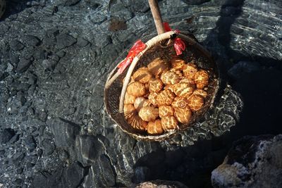High angle view of fruits in container