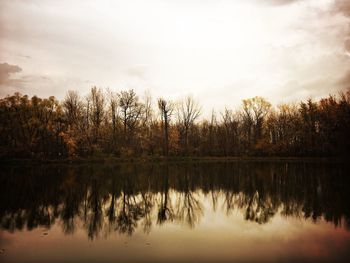 Reflection of trees in lake against sky