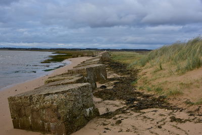 Scenic view of beach against sky