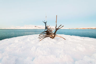 Dead tree on beach against sky