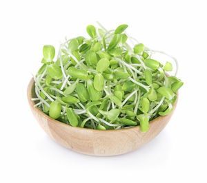 High angle view of vegetables in bowl against white background