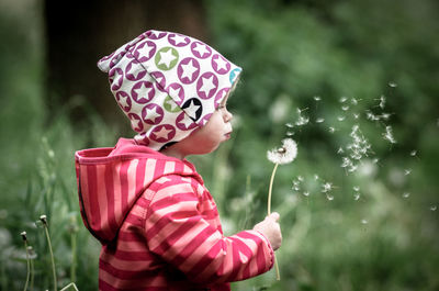 Side view of cute girl blowing dandelion on grassy field