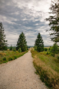 Dirt road amidst trees against sky