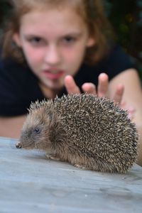 Portrait of girl touching hedgehog on table