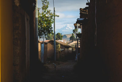 Dog walking in an empty street towards a snowcapped mountain in cusco