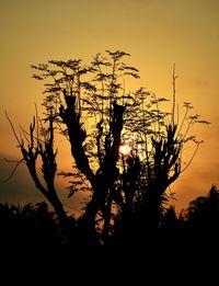 Low angle view of silhouette tree against sky during sunset