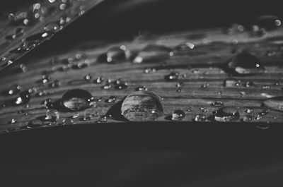 Close-up of water drops on glass