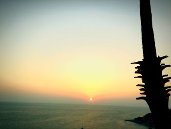 Silhouette landscape at sunset