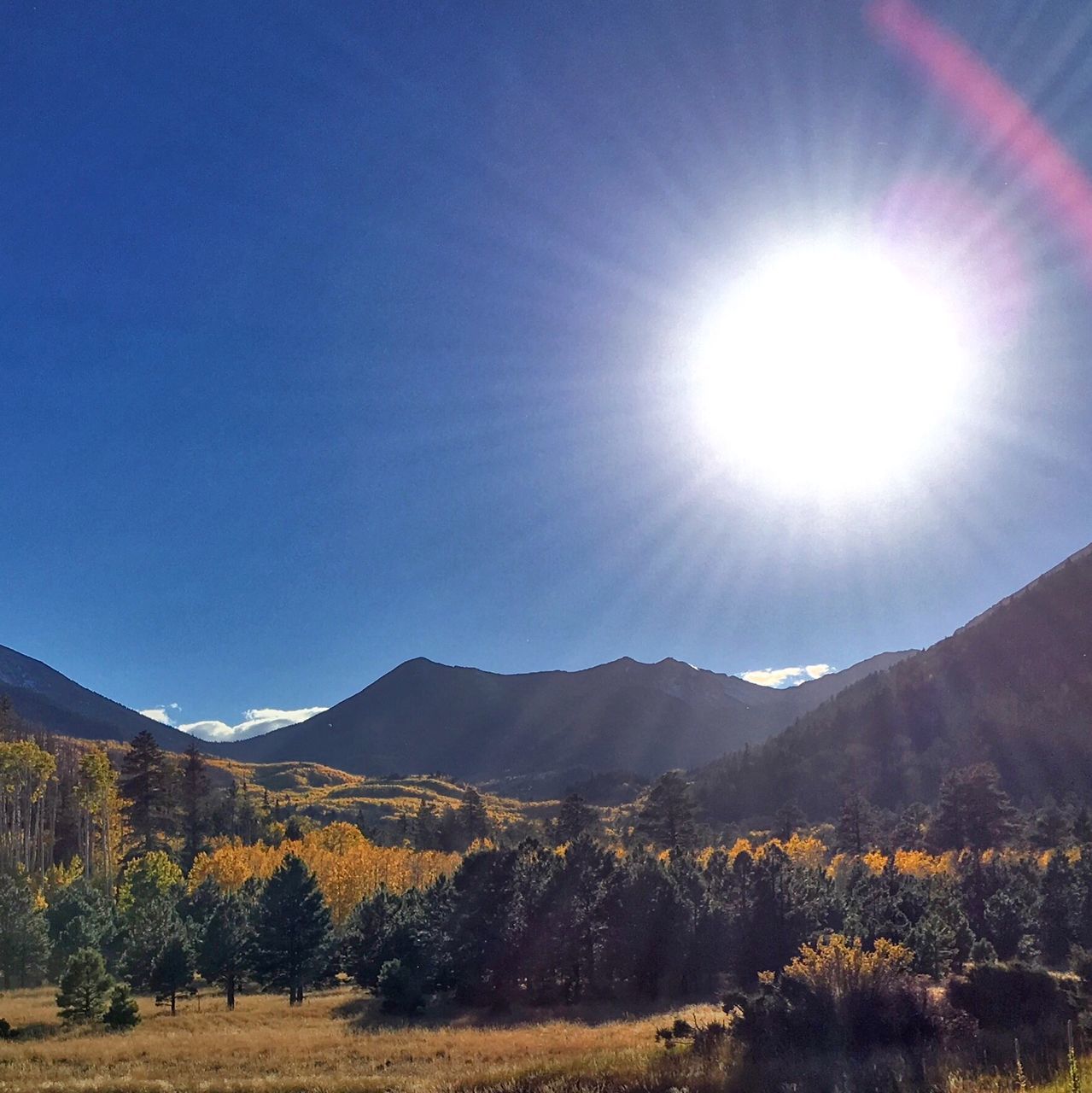 mountain, tranquil scene, tranquility, landscape, scenics, beauty in nature, mountain range, sunlight, sun, nature, blue, tree, sunbeam, clear sky, non-urban scene, lens flare, idyllic, sunny, sky, remote