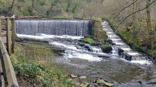 River flowing through rocks