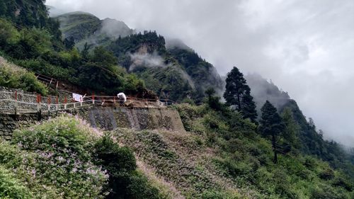 Scenic view of tree mountains against sky