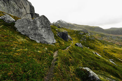 Hiking trail in the mountains of lofoten islands