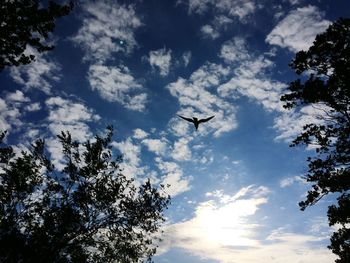 Low angle view of birds flying against cloudy sky